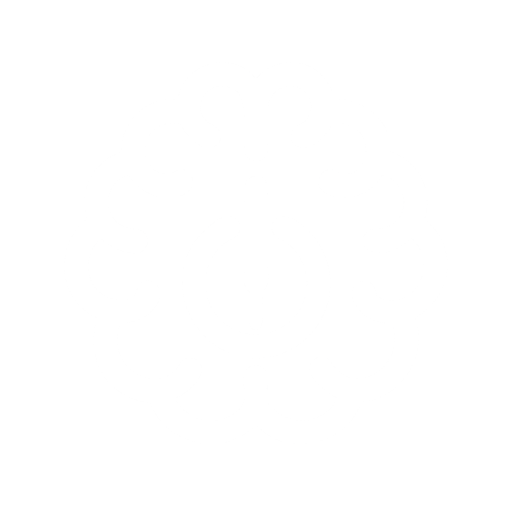 BrainPower Sarl-s  S.I.S